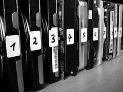 organize, photo by Uwe Hermann