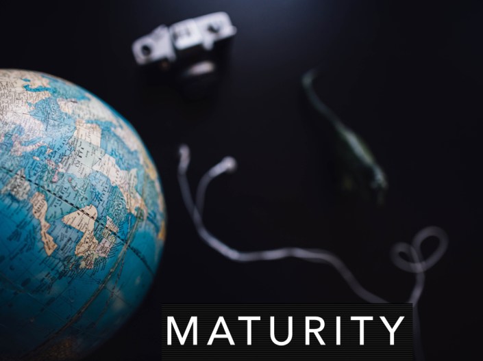 Community_Lifecycle.014