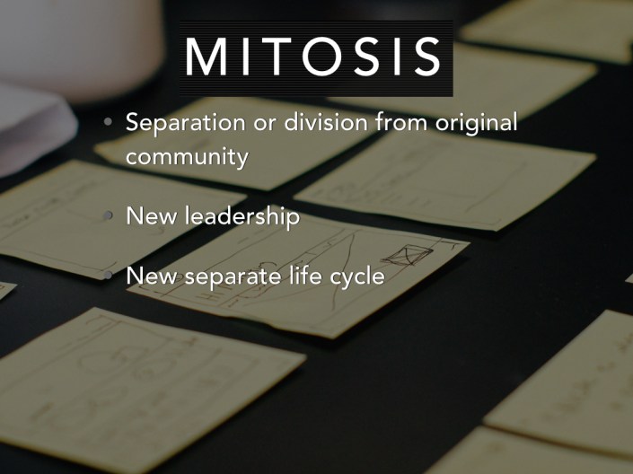 Community_Lifecycle.018