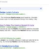 Nutellarecipes_GoogleResults_2012